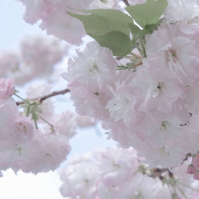 屯留FurryQQ群介绍